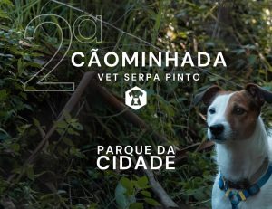 2ª Cãominhada Vet Serpa Pinto