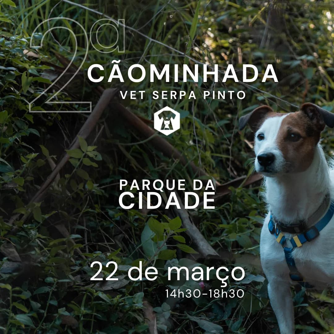 2ª Cãominhada Vet Serpa Pinto