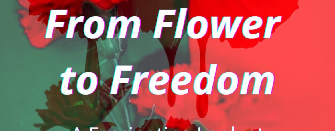 Da flor à liberdade: Um olhar sobre a Revolução dos Cravos