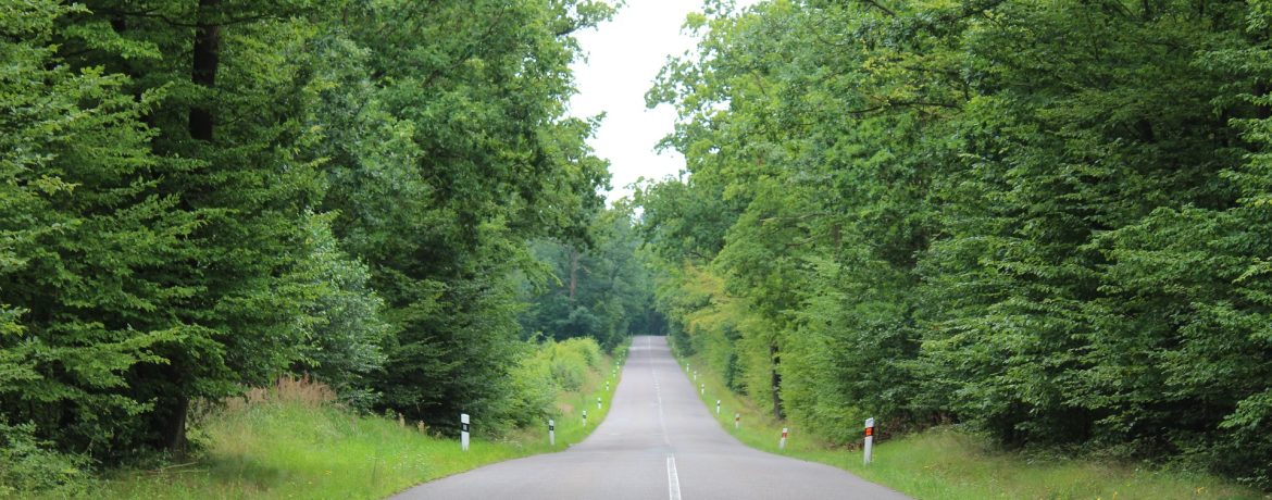 Roadtrip de autocaravana na zona do Porto: o roteiro para a escapadinha perfeita