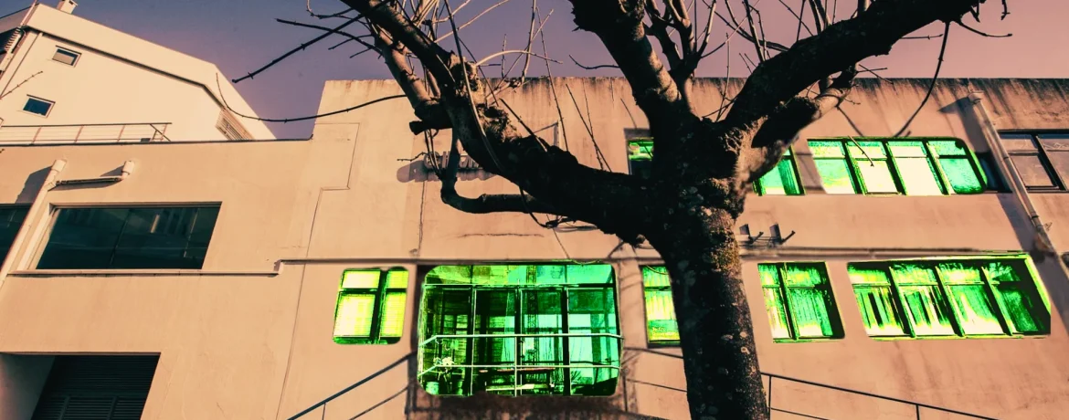 Assembleia Comunitária no Teatro Universitário do Porto | Reflexão e Criação Colectiva em Cena