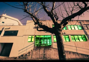 Assembleia Comunitária no Teatro Universitário do Porto | Reflexão e Criação Colectiva em Cena