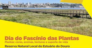 Dia do Fascínio das Plantas
