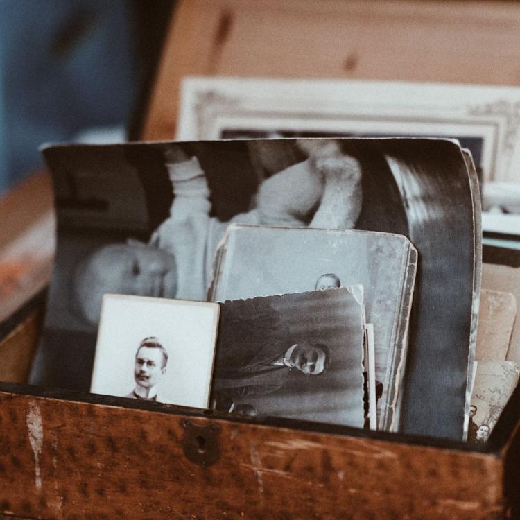 “Os 10 erros mais comuns da Genealogia” – Conferência com Francisco Queiroz