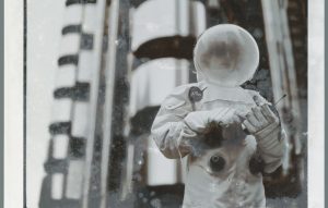 SPIRITUALIZED ao vivo no Serralves em Festa