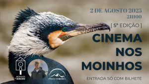 Cinema nos Moinhos – 5.ª Edição