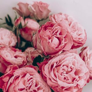 Concerto “La Primavera” | Piano e Violino celebram a estação das flores