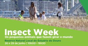 Insect Week – Os Pequenos Animais que Fazem Girar o Mundo