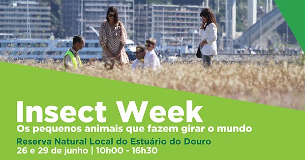 Insect Week – Os Pequenos Animais que Fazem Girar o Mundo