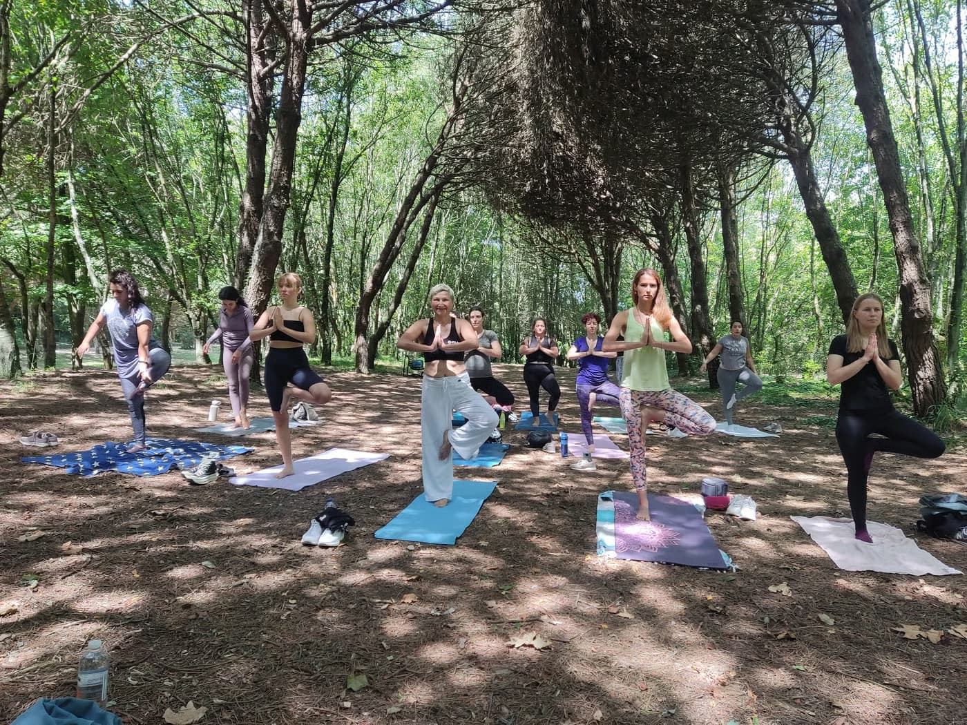 Porto Yoga Day 2025 | Movimento Consciente e Arte Significativa no Parque da Cidade