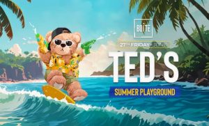 TED’S SUMMER PLAYGROUND
