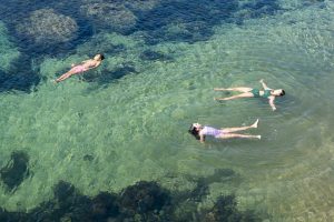 Visita Guiada + Conversa com as Imagens Bonitas do que Desapareceu