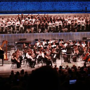 Gala 30 Anos AMCC | Concerto da Orquestra Sinfónica de Jovens