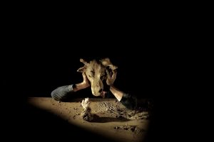 Géologie d’une Fable