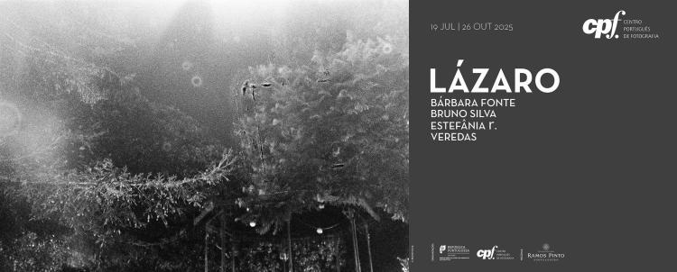 LÁZARO Instalação Coletiva