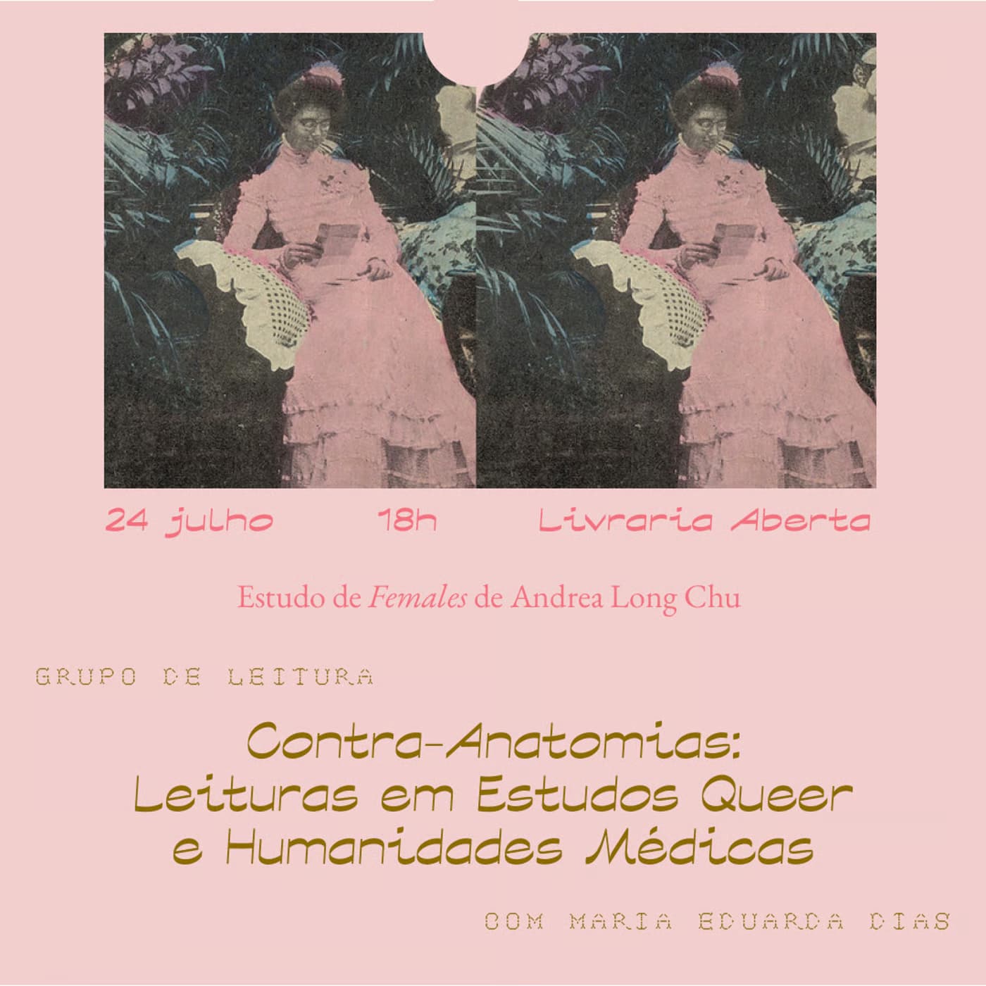 Leitura de Females, de Andrea Long Chu