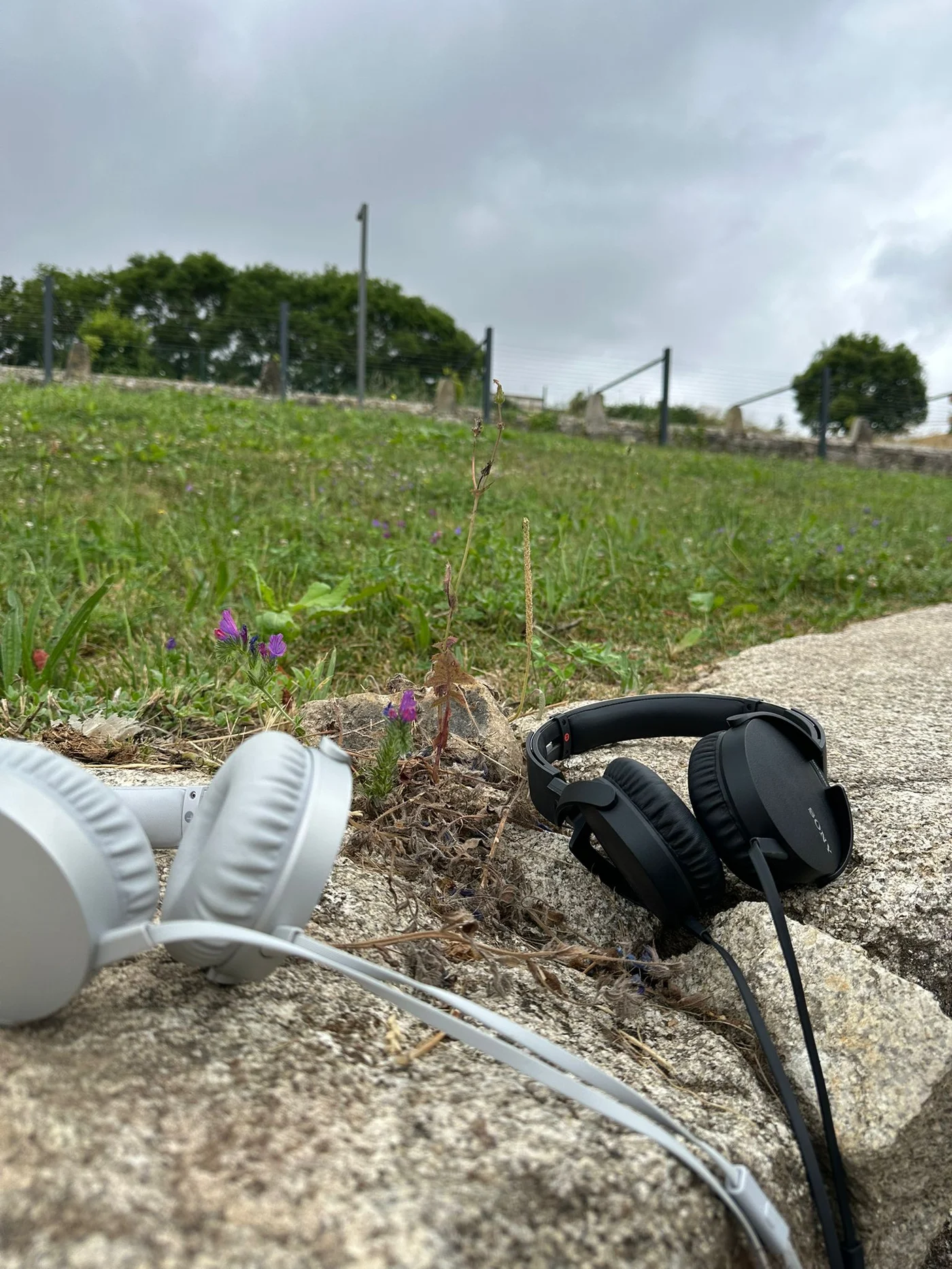 Paramos ou Morremos: Ópera Ambiental em Formato Audiowalk Chega a Campanhã