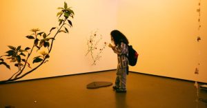 Reluctant Gardener - Território #9