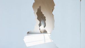 Wallpaper — Exposição de Tomé Capa no Maus Hábitos