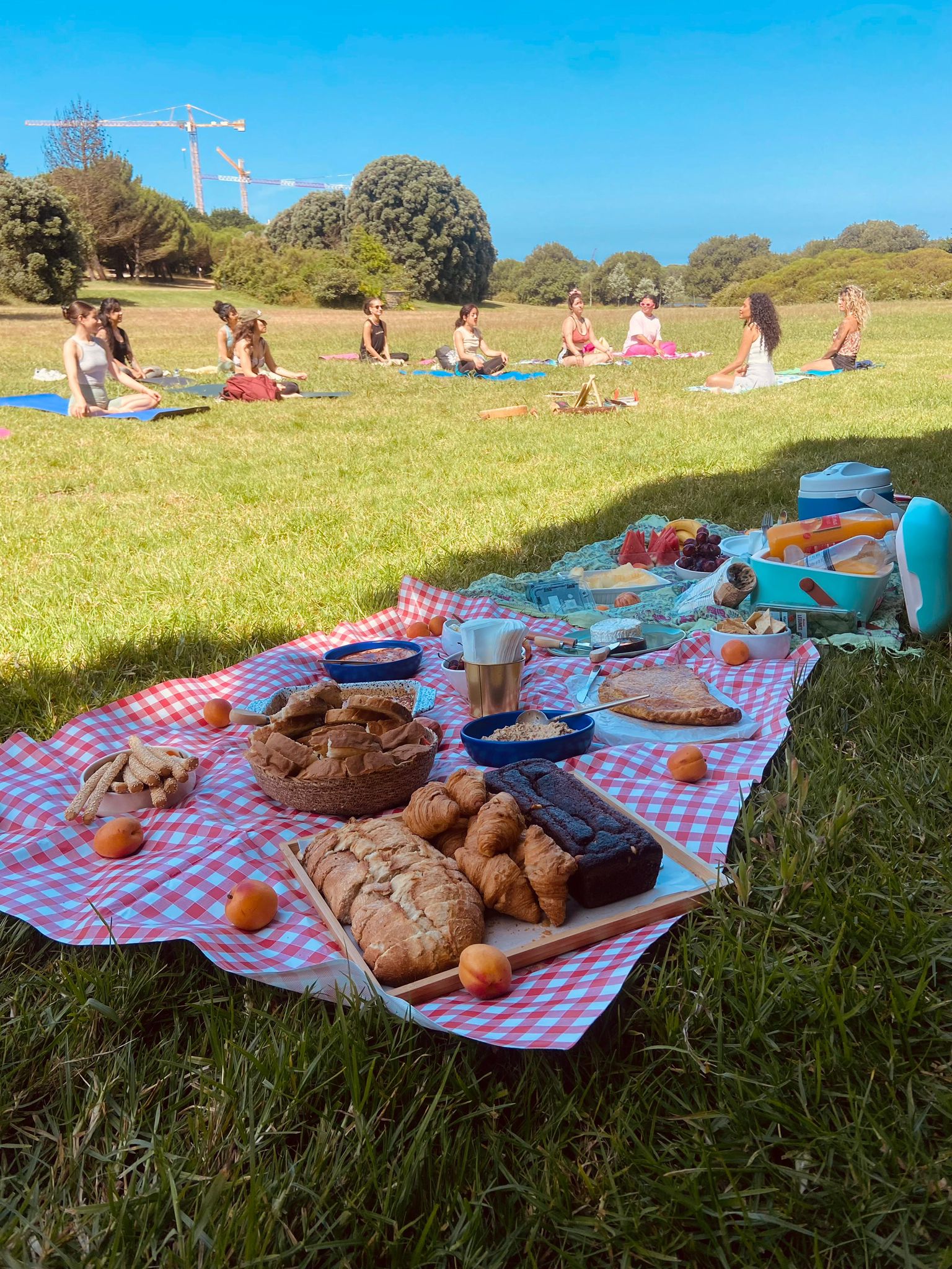 Yoga na natureza e Pic nic com Borogodó