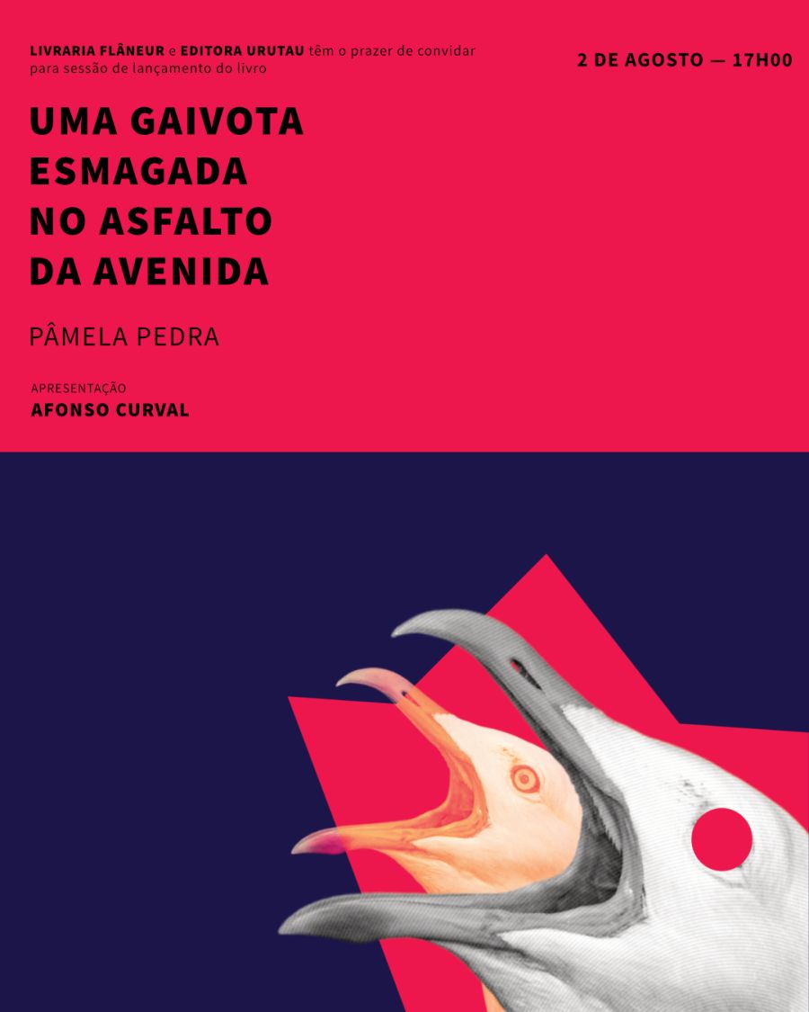 APRESENTAÇÃO DO LIVRO: