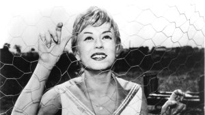Ciclo Os Anos de Ouro do Cinema Italiano
