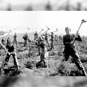 Curso “Portugal Contemporâneo: Séculos XIX e XX” – História Política Portuguesa