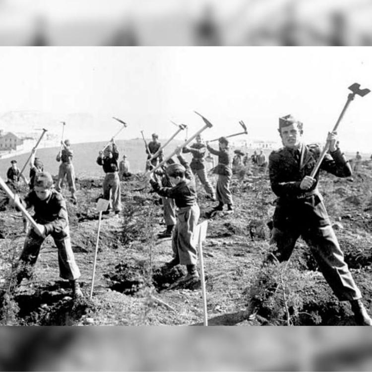 Curso “Portugal Contemporâneo: Séculos XIX e XX” – História Política Portuguesa