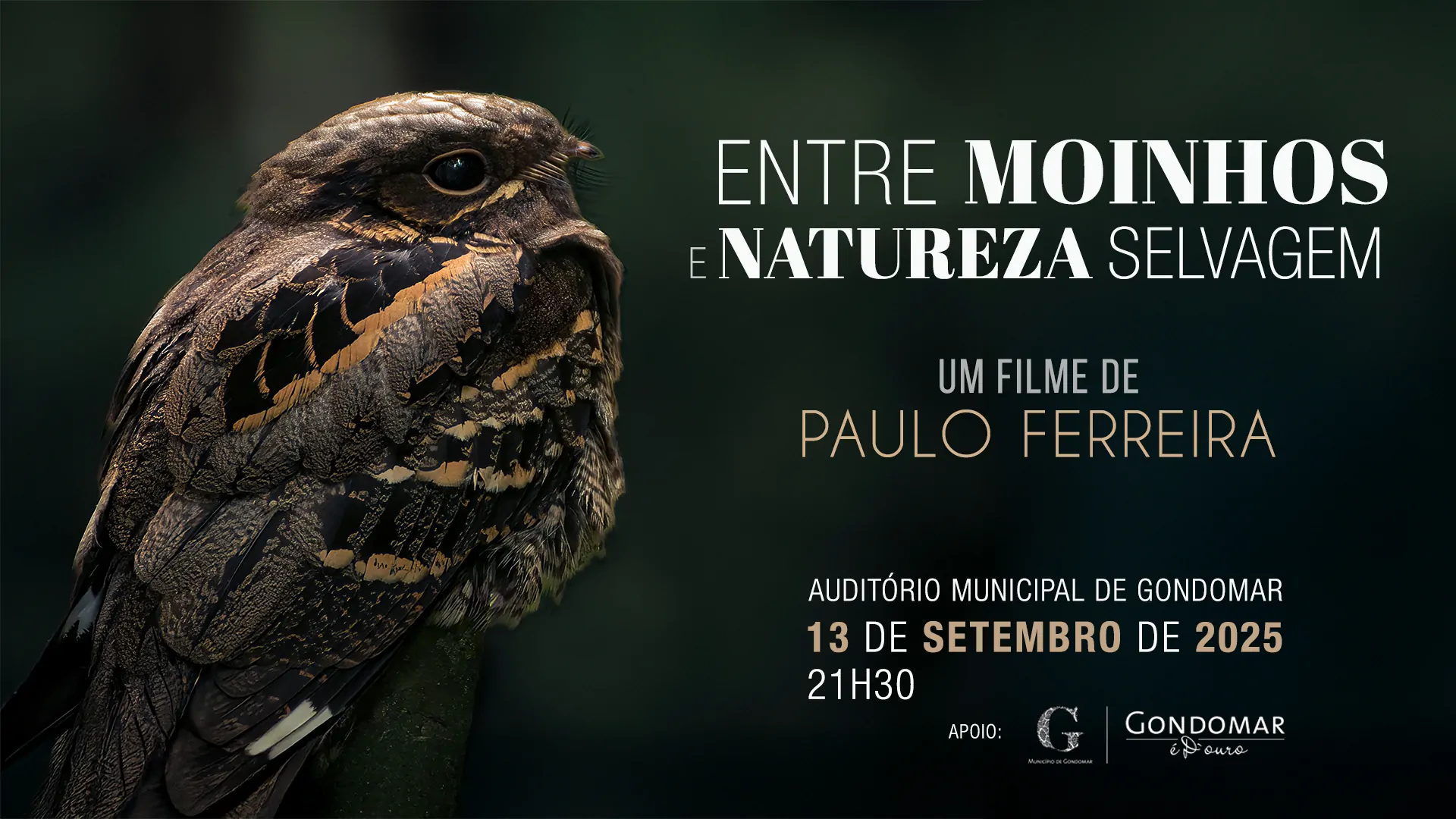 Entre moinhos e natureza selvagem