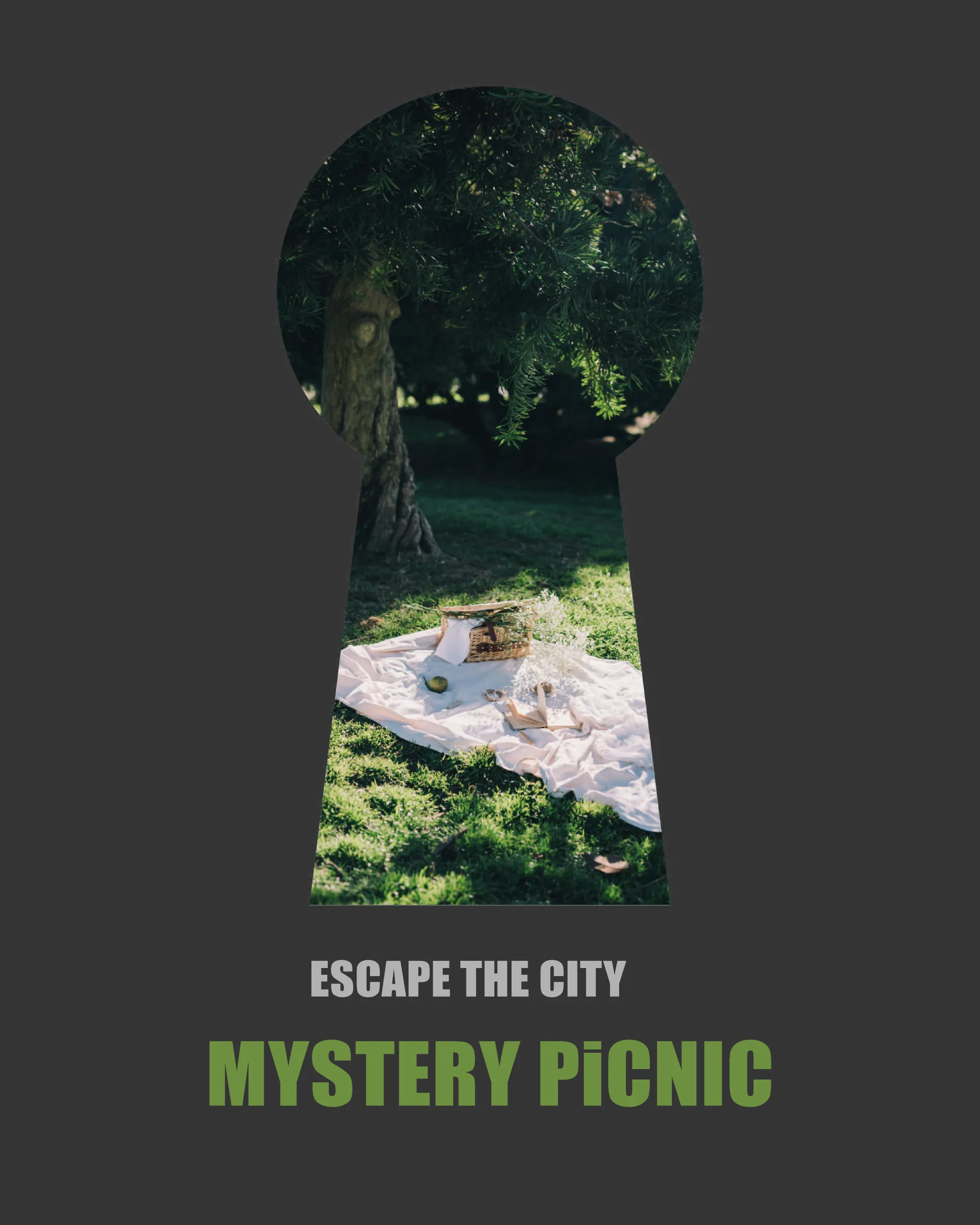 Mystery Picnic