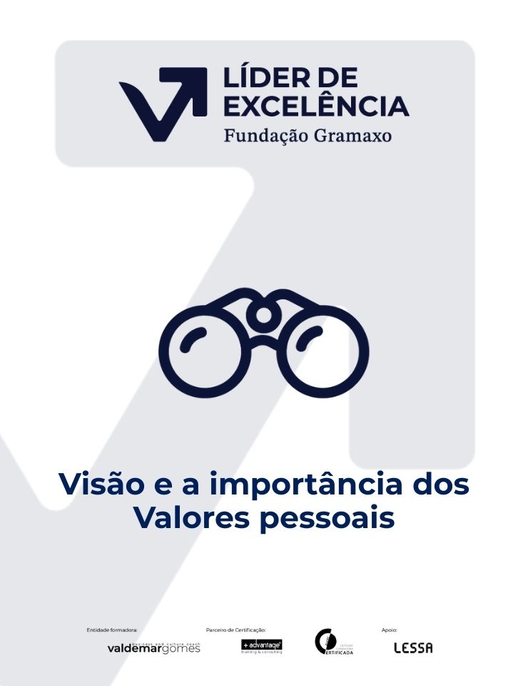 Visão e Valores pessoais — Líder de Excelência