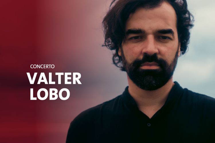 Concerto de Valter Lobo em Gondomar