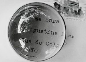 Exposição poética Um cão que sonha — Agustina inaugura nos MIRA Galerias