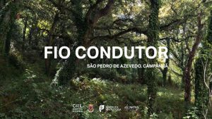 FIO CONDUTOR | Passeio, Almoço e Oficina