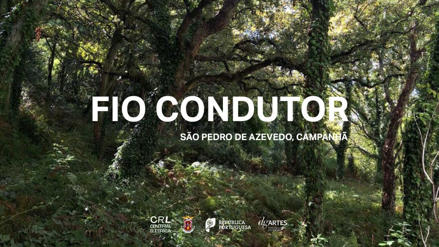 FIO CONDUTOR | Passeio, Almoço e Oficina