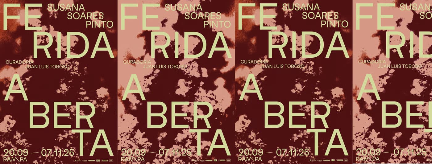 Ferida Aberta — Exposição de Susana Soares Pinto