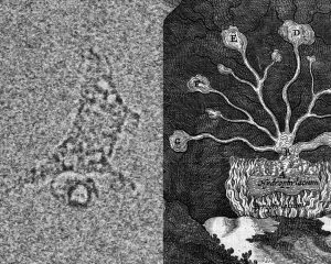 Geologia Interna: Corpo e minerais em diálogo artístico