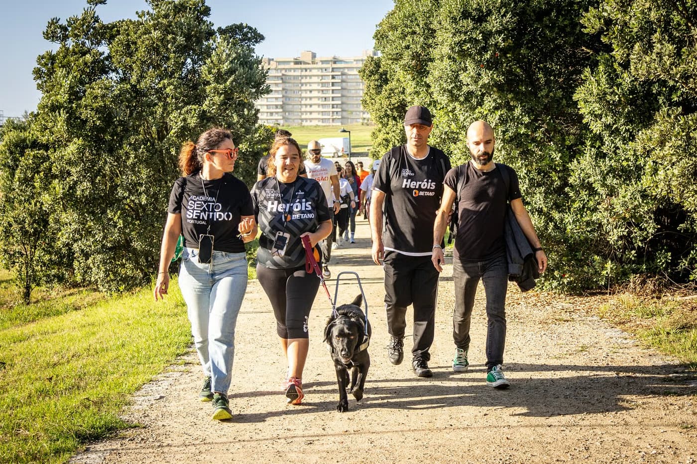 Porto Corre com Sentido