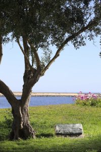 DERIVA #54 — Diálogos entre a Arte Pública e a Natureza
