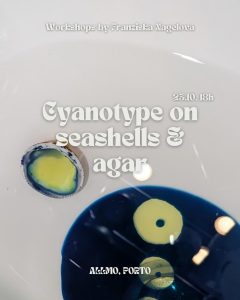 Cianotipia em Conchas e Ágar — com Franziska Nagelová