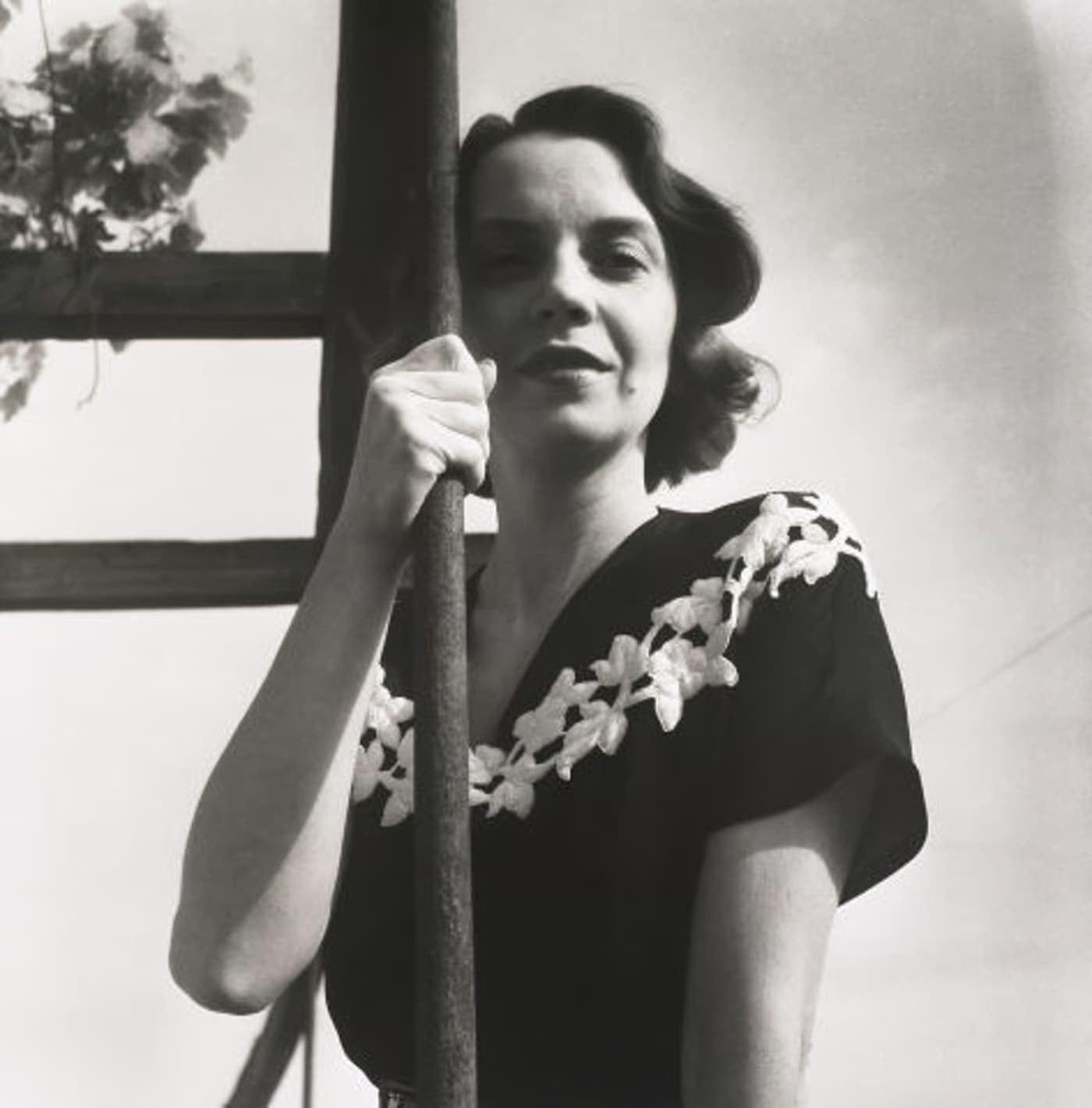 Clube de Leitura Sénior — “História da Gata Borralheira”, em Contos da Terra e do Mar, de Sophia de Mello Breyner Andresen