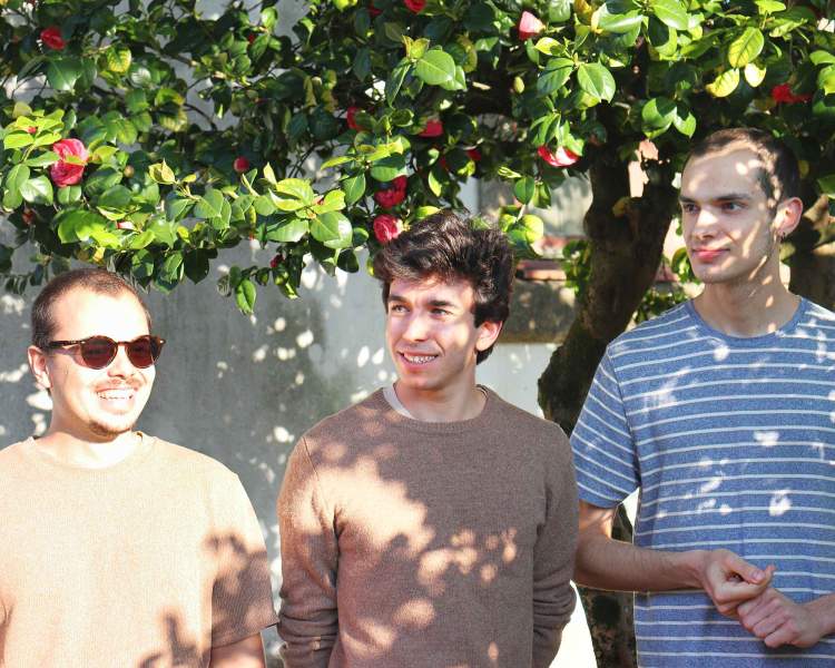 João Barreto Trio na Casa da Música