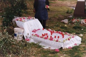 Midnight Zone [Zona da Meia-Noite]