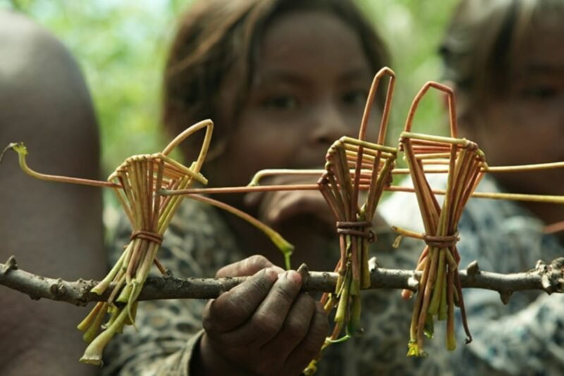 cinemaVivo: “Do Colo da Terra” — um olhar poético sobre a infância indígena