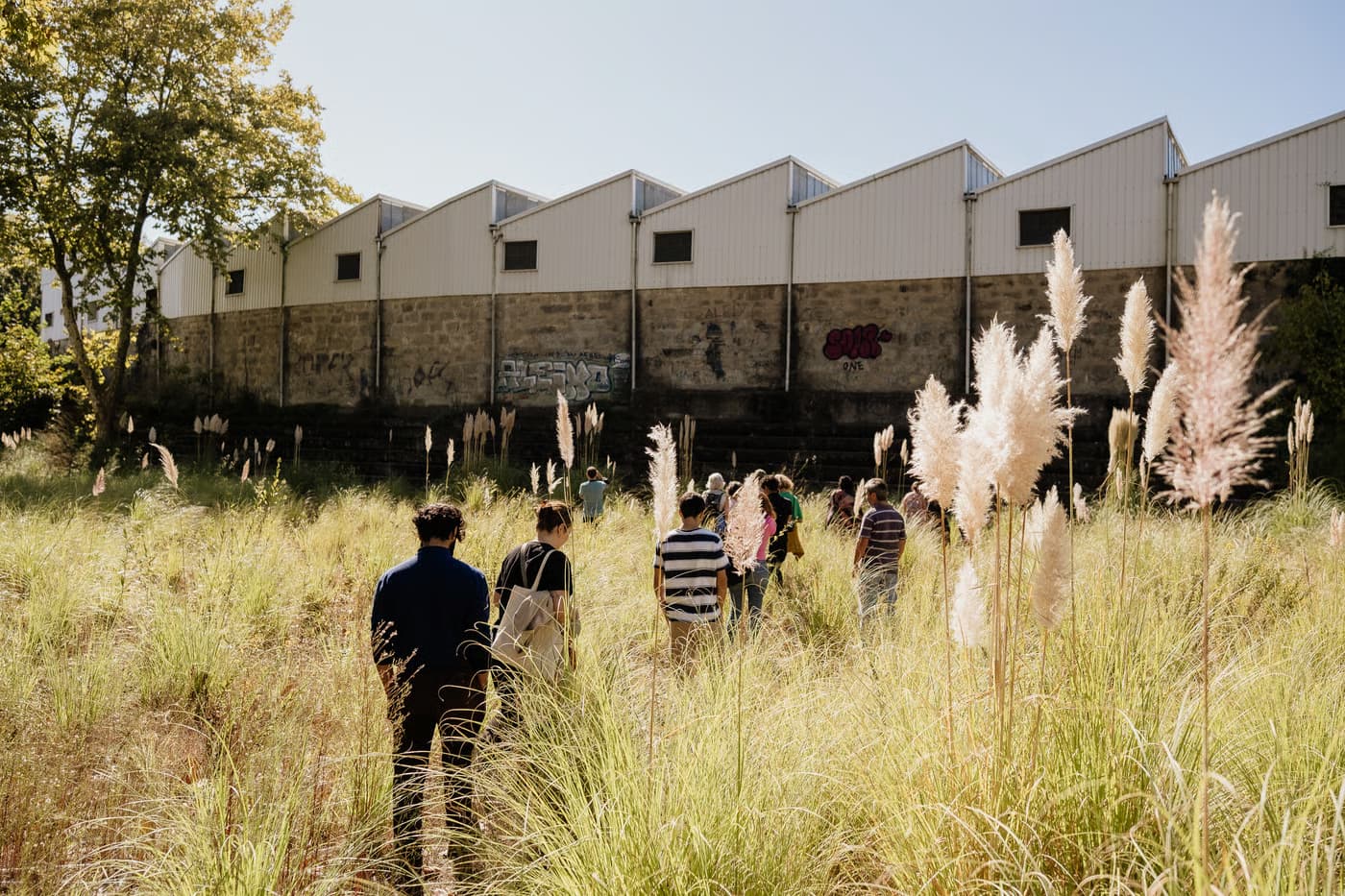 Passeio no antigo Bairro do Aleixo