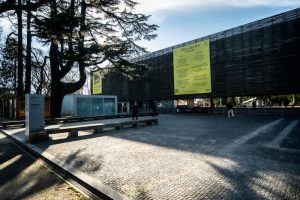 Corações Livres – Dia Mundial da Saúde Mental