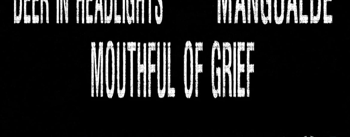 Xavalo Fest 8 — Edição de Halloween