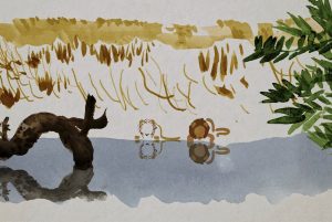 QUEERYING NATURE – DE ALINE MAGREZ