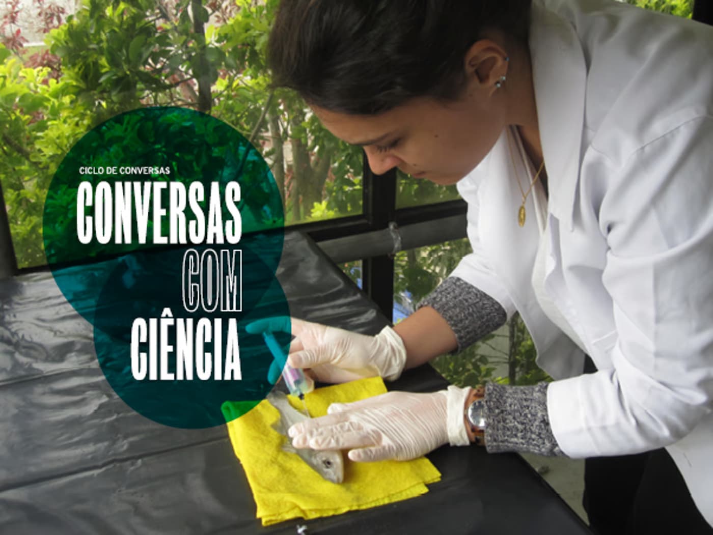 A saúde e o bem-estar dos peixes em aquacultura - Conversas com Ciência