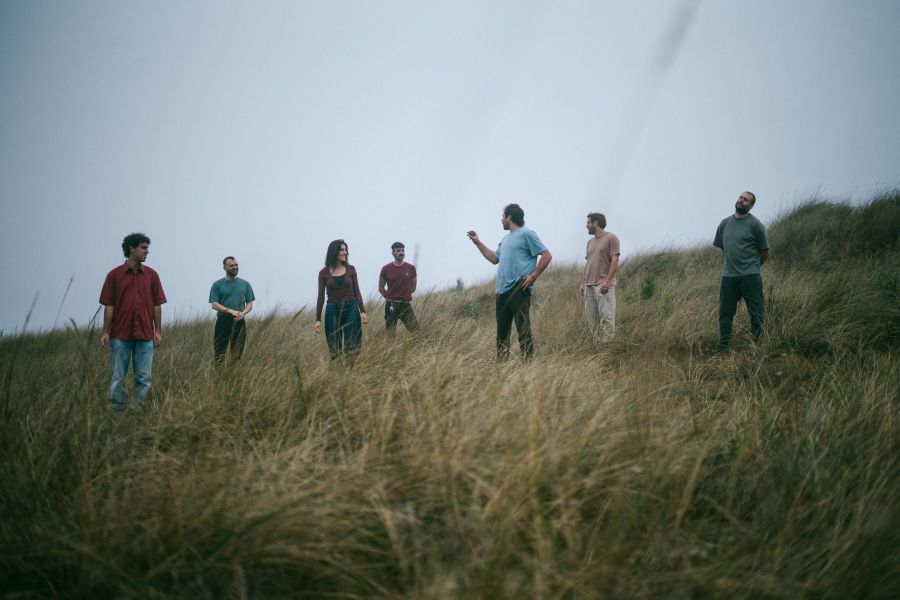 xauxau dodô – “bandos e cardumes”